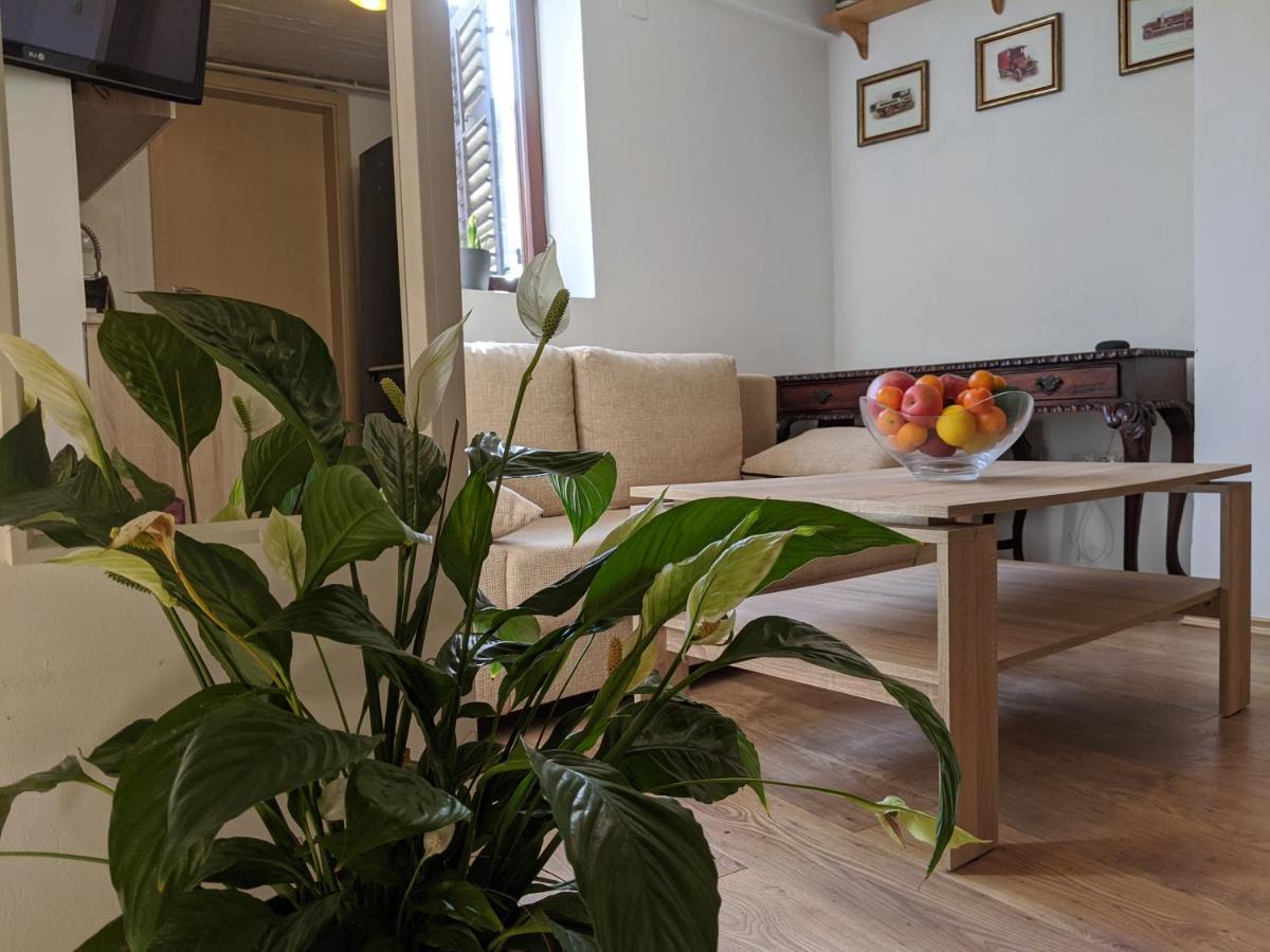 Twin-Magnolias Condo With Garden, Parking & Ev Station Záhřeb Exteriér fotografie