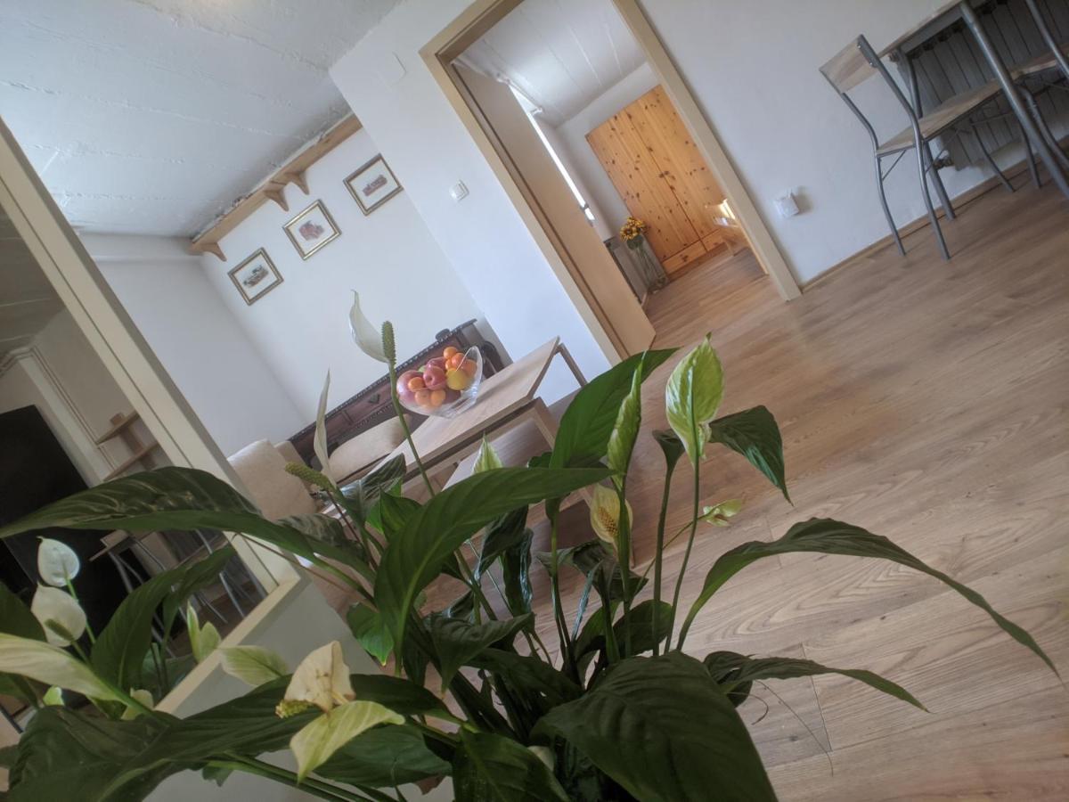 Twin-Magnolias Condo With Garden, Parking & Ev Station Záhřeb Exteriér fotografie