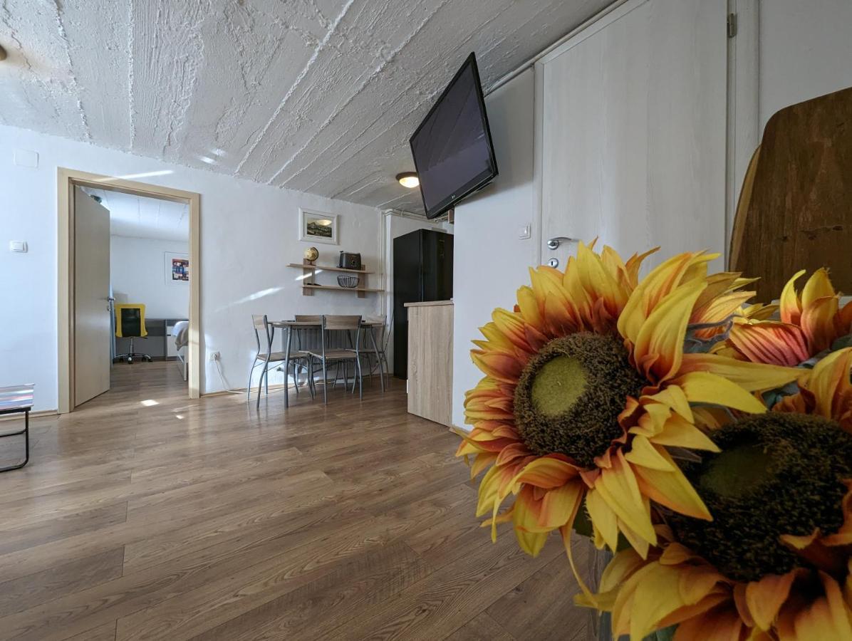 Twin-Magnolias Condo With Garden, Parking & Ev Station Záhřeb Exteriér fotografie